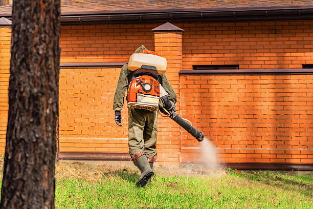 Cockroach Follow-Up and Monitoring in Morton Grove